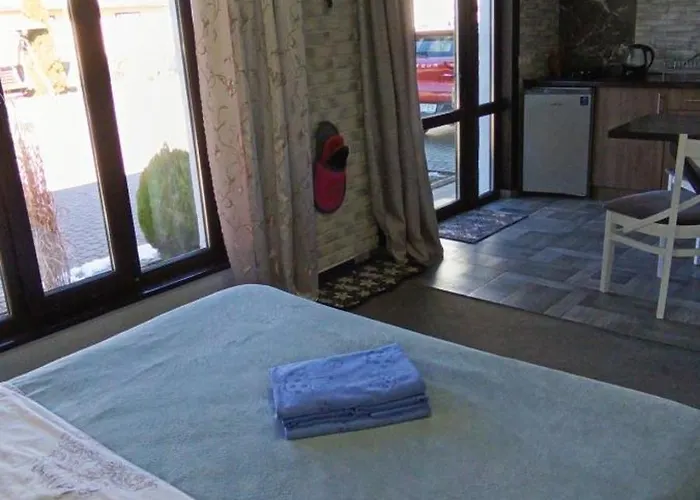 Apartment янчар номер студiо з басейном Mykulychyn